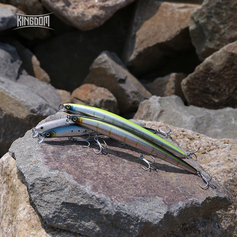 Kingdom Long Casting Fishing L - Fishing Lure Jerkbait 评论和价格